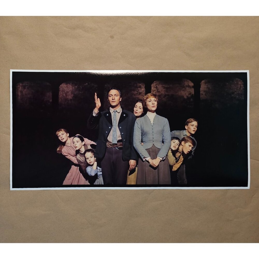 The Sound of Music Movie Scene 12" X 24" Photo Print Poster Hills Julie group